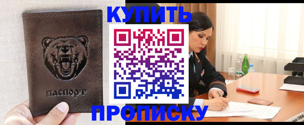 где прописаться в Ельне