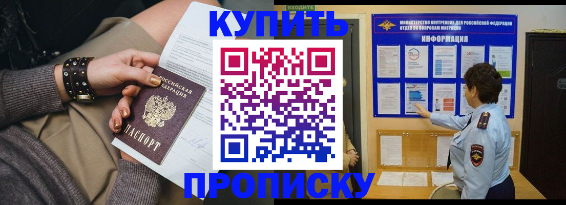 прописка в Ельне
